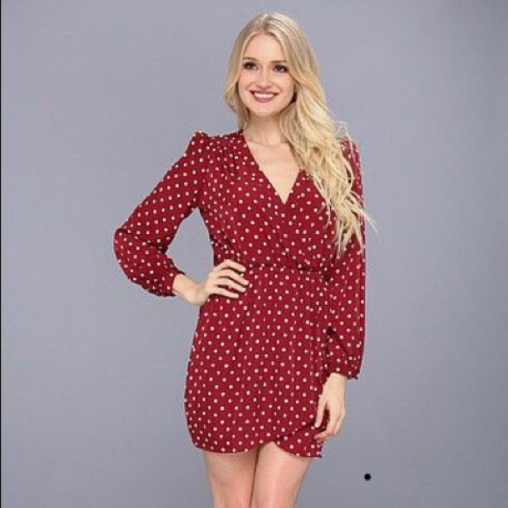 Brigitte Bailey Demri Dress